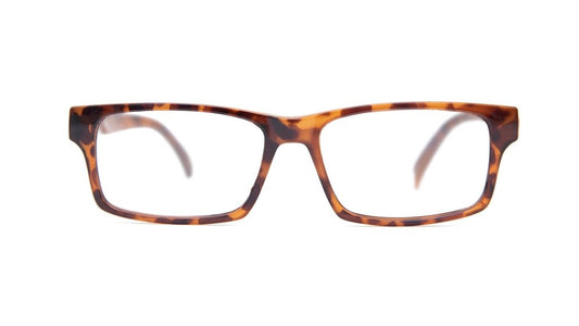 Eyeglasses / prescription