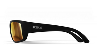 Polycarbonate Polarized