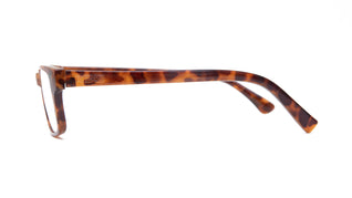 Eyeglasses / prescription